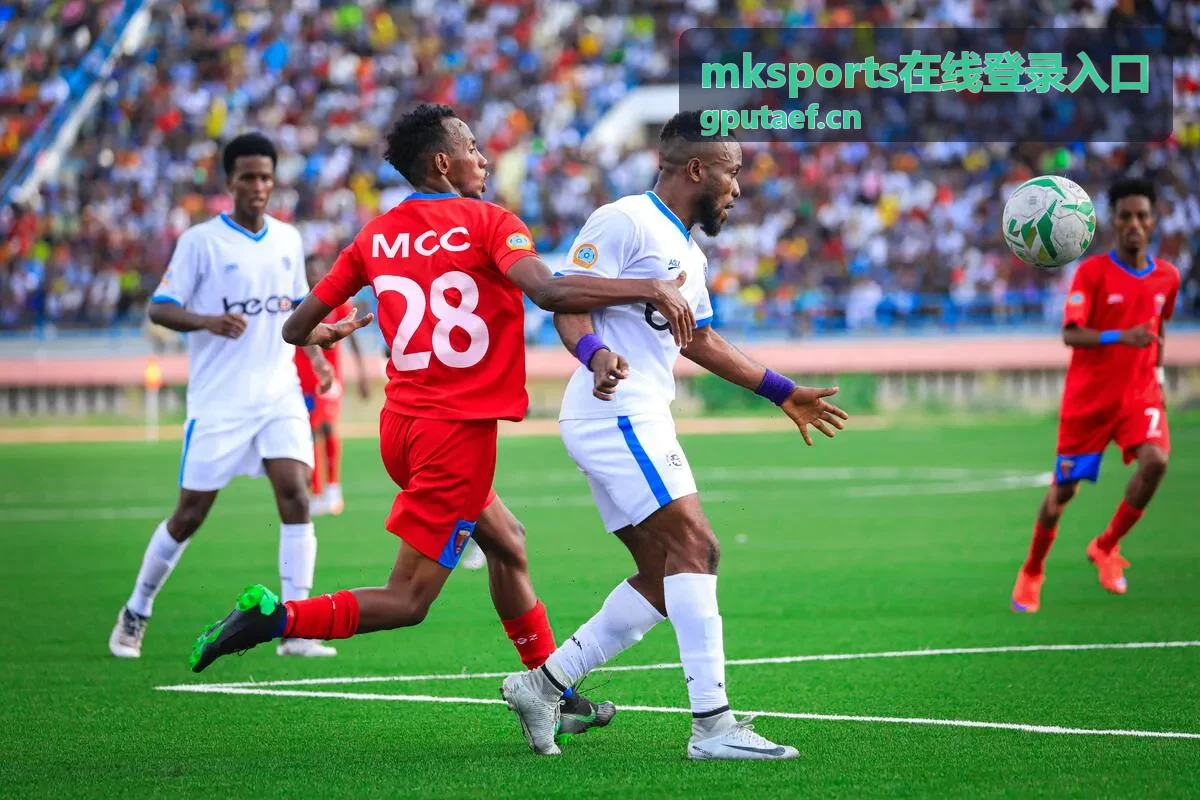 mksports在线登录入口入口按钮所在位置示意