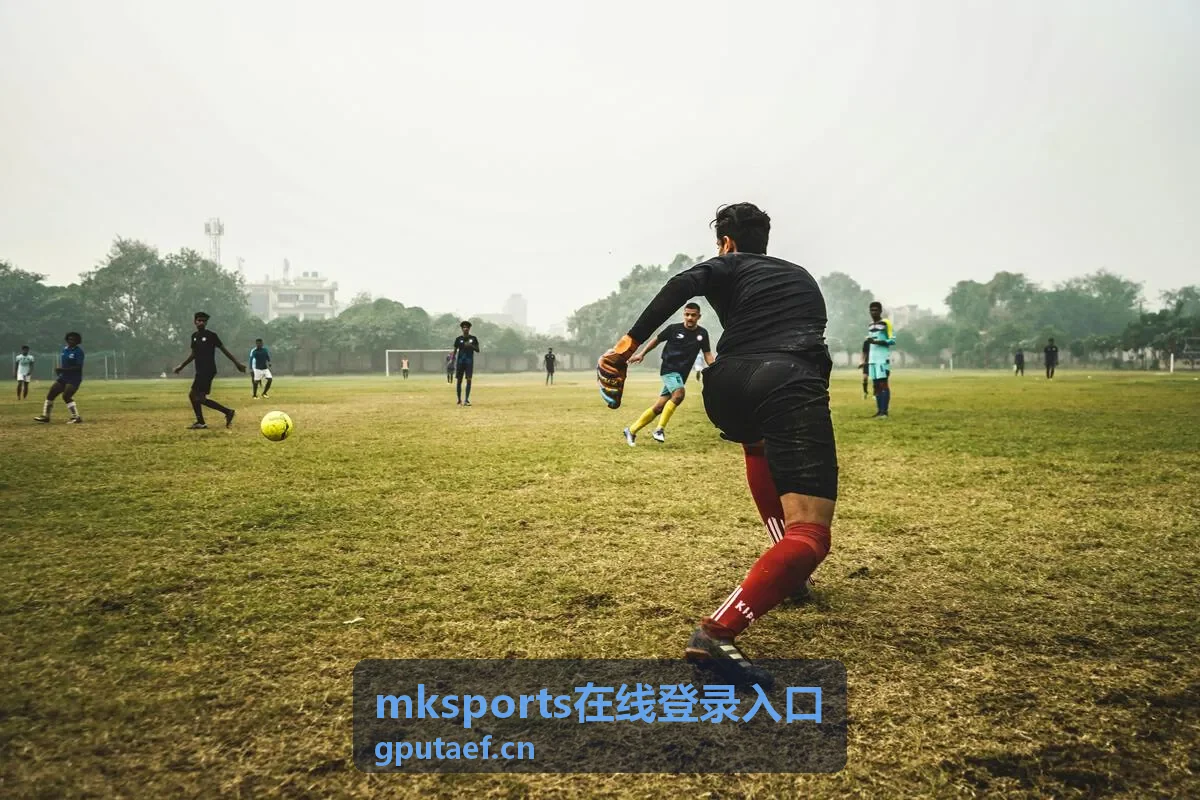 mksports在线登录入口 登录入口位置与进入步骤示意
